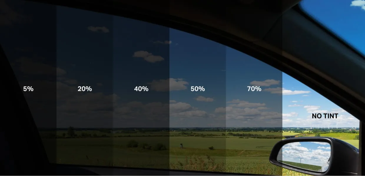 Windshield Tint Apeax