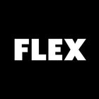 FLEX Power Tools for Detailing